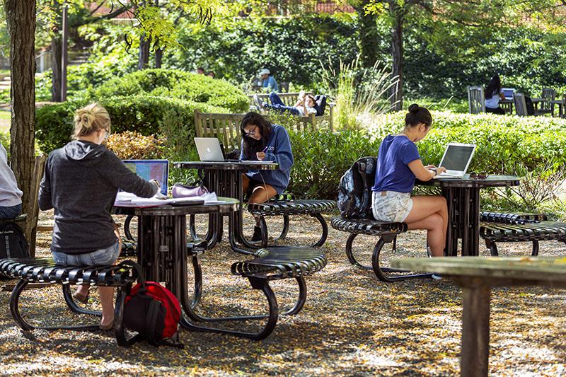 students using laptops outdoors